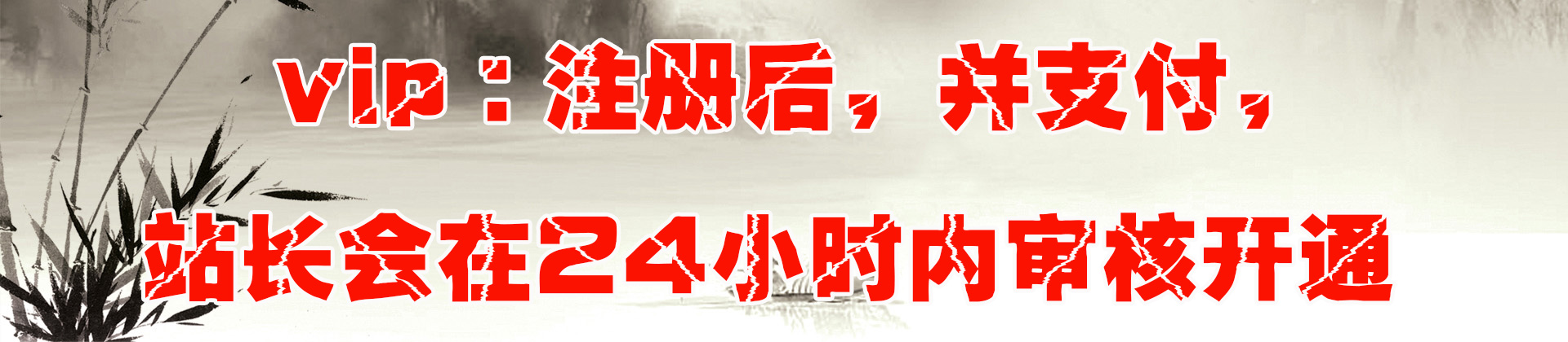 本站网站会员作用说明